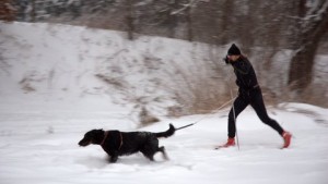 motoskijoring_01