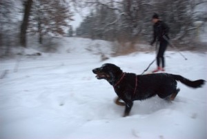 motoskijoring_03