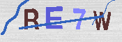 Kontrolní text