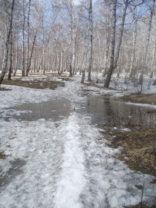 prazecka06